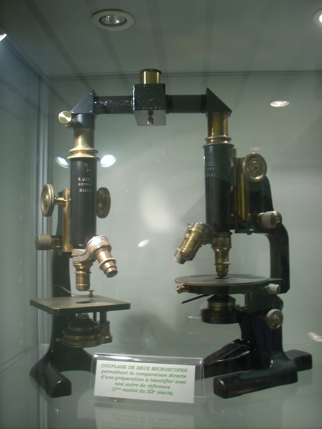 Musée des plantes médicinales et de la Pharmacie, ULB, Brussels (22).JPG